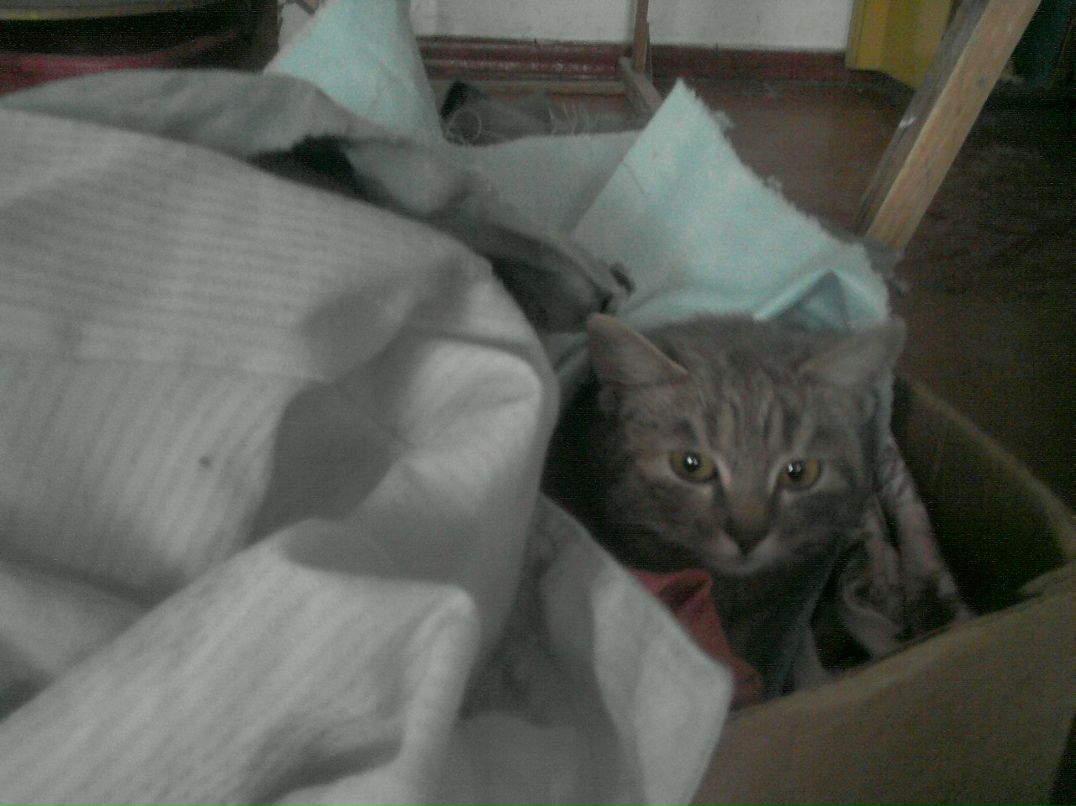 Анастасия Карбач | Одесса