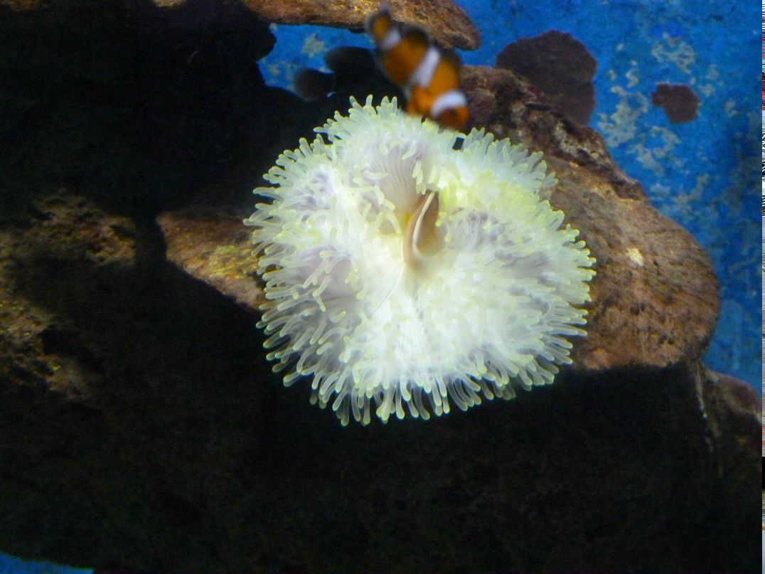 Алексей Грознов | Екатеринбург