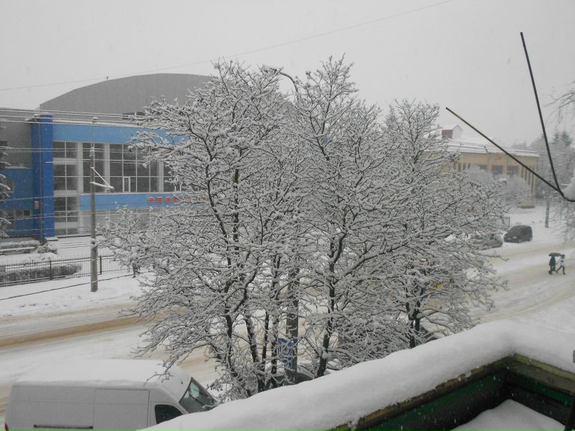 Сергій Набойчик | Луцк