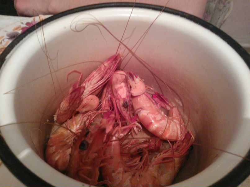 Константин Соломин | Чита