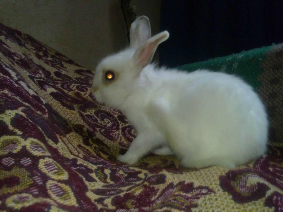 Александр Кравцов | Москва