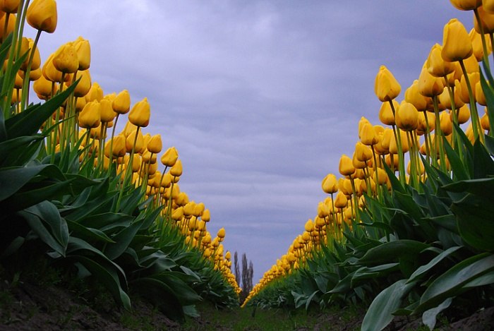 Светлана Агалакова | Мончегорск