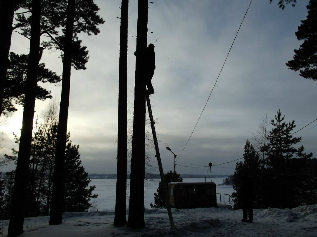 Дмитрий Некрашевич | Новосибирск