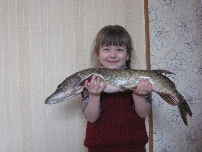 Елена Гальчинская | Киев