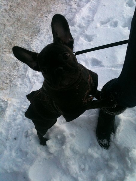 Оля Титова | Тамбов