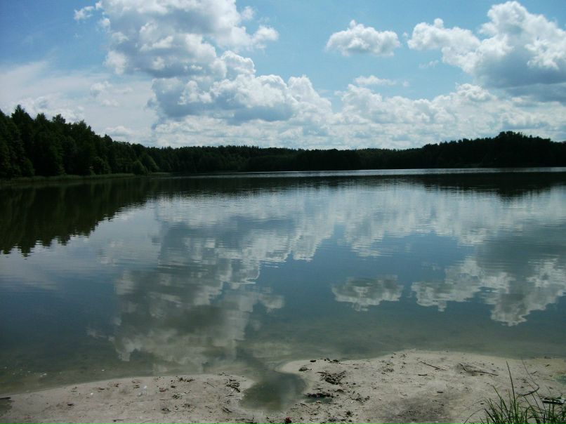 Сергей Паршин ZVEZDEC | Томилино