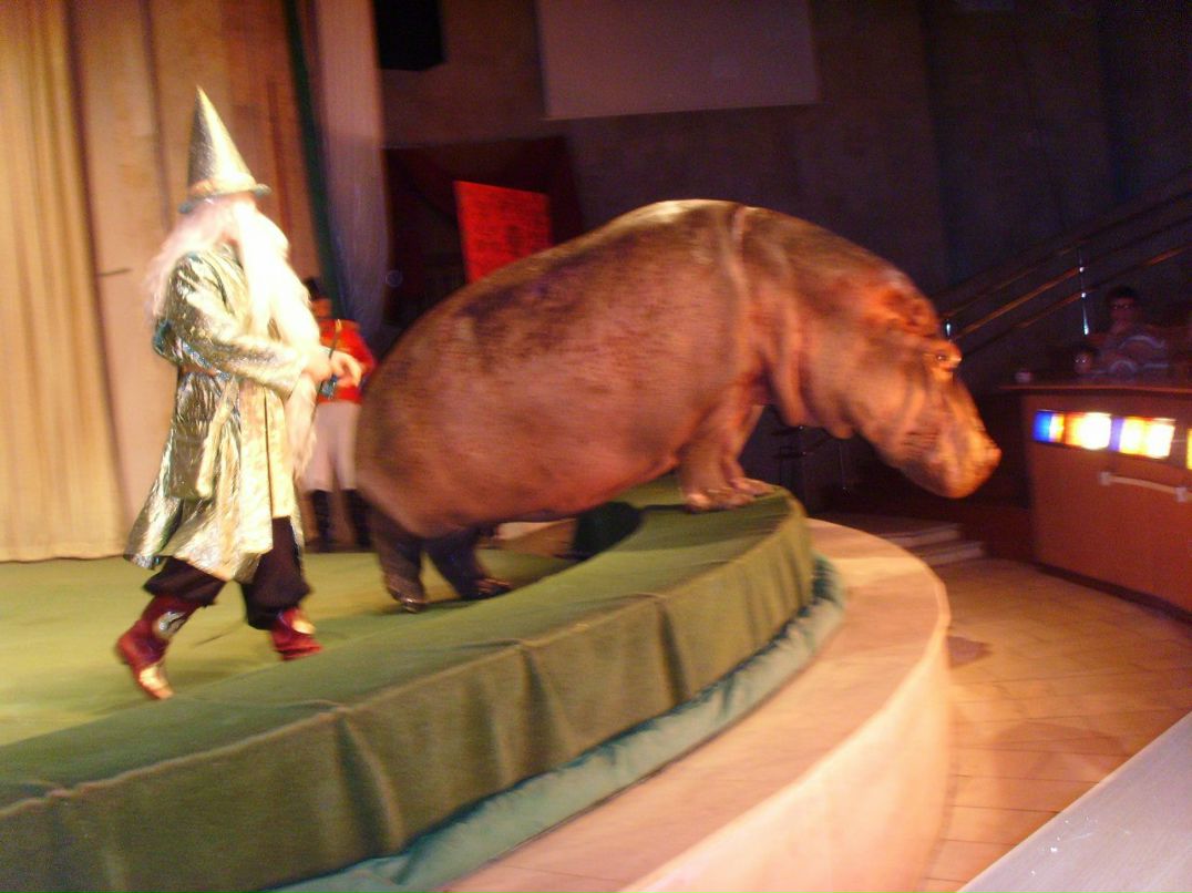 Анастасия Самсонова | Нижний Новгород