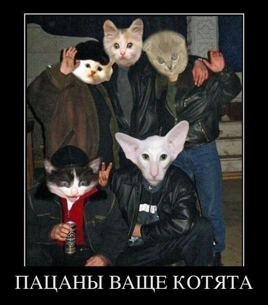 Игорь Богдан утверждает, что он | Минск