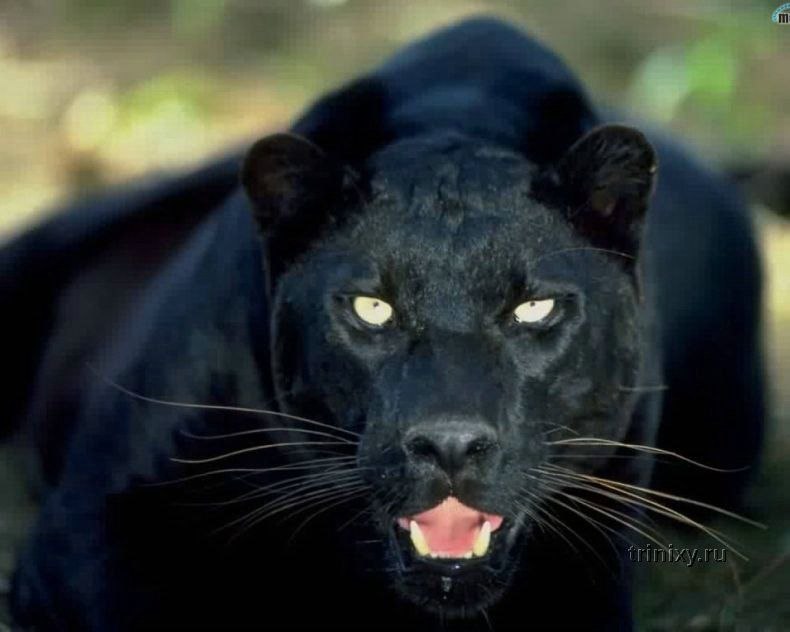 Лилия Гурулева | Москва