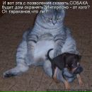 Фотография Павел Капский