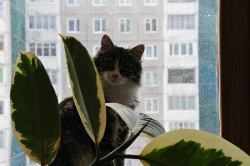 Антон Салянский | Мурманск