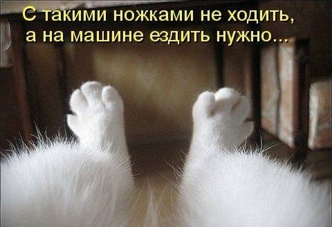 №119, Антон Жикулин, 35 лет, Киев №119, Антон Жикулин, 35 лет, Киев
