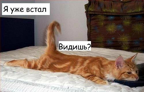 Арина Заднепровская | Тимашевск