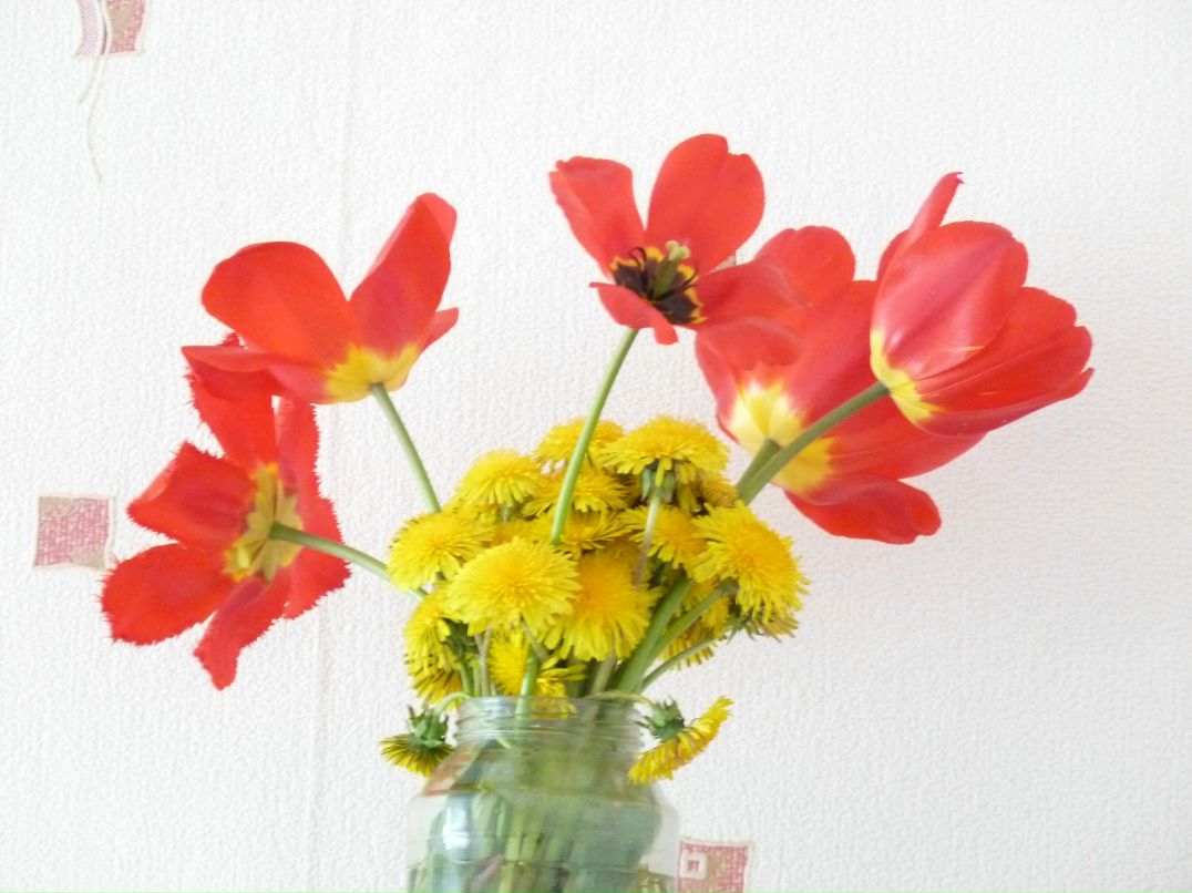 Елена Никифорова | Валдай