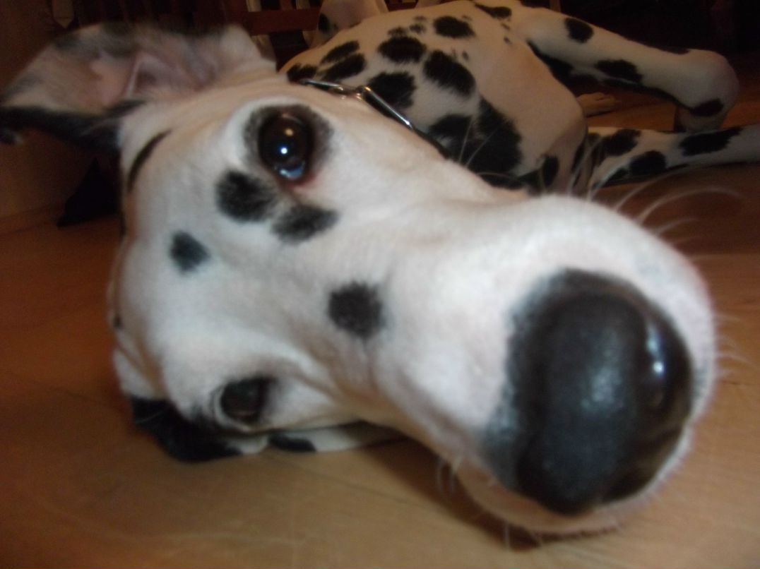 Елена Апёнышева | Краснодар