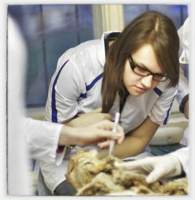 Anna Shpak | Санкт-Петербург