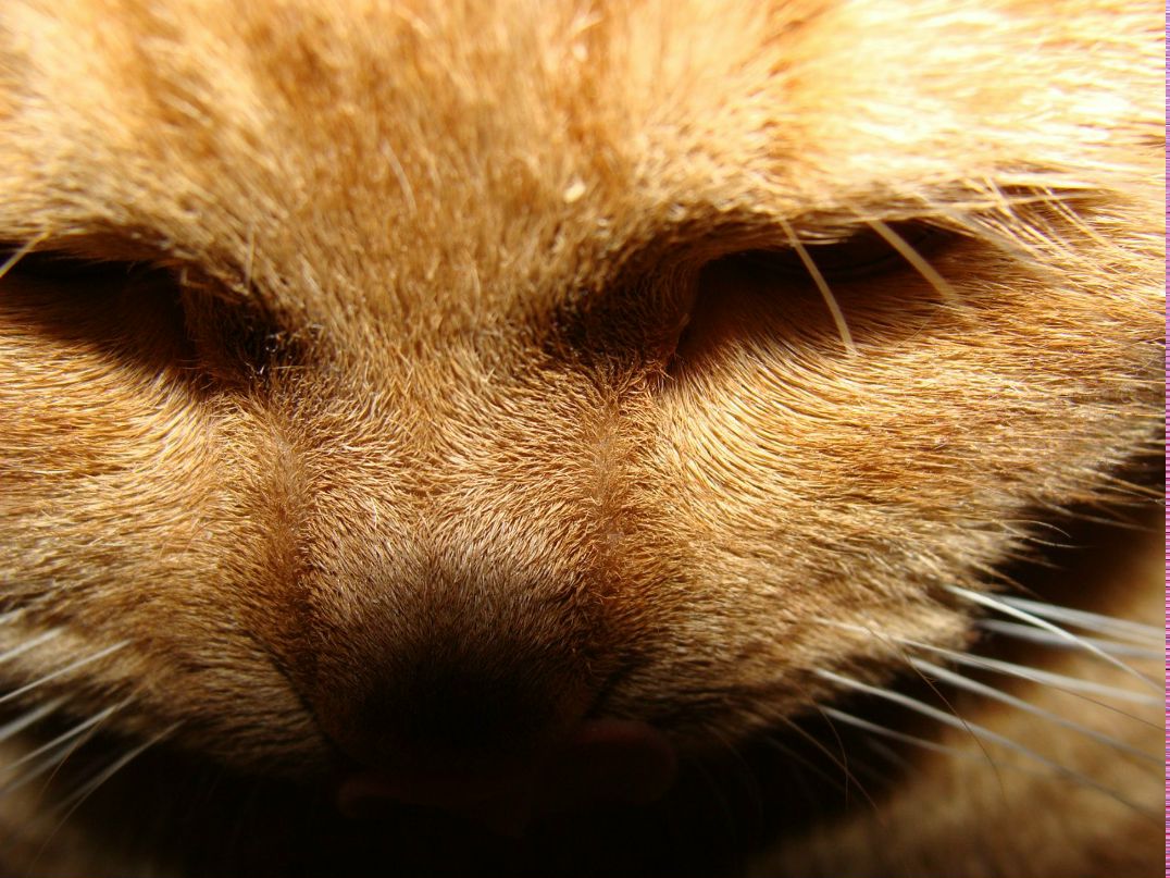 Наташа Янышева | Екатеринбург