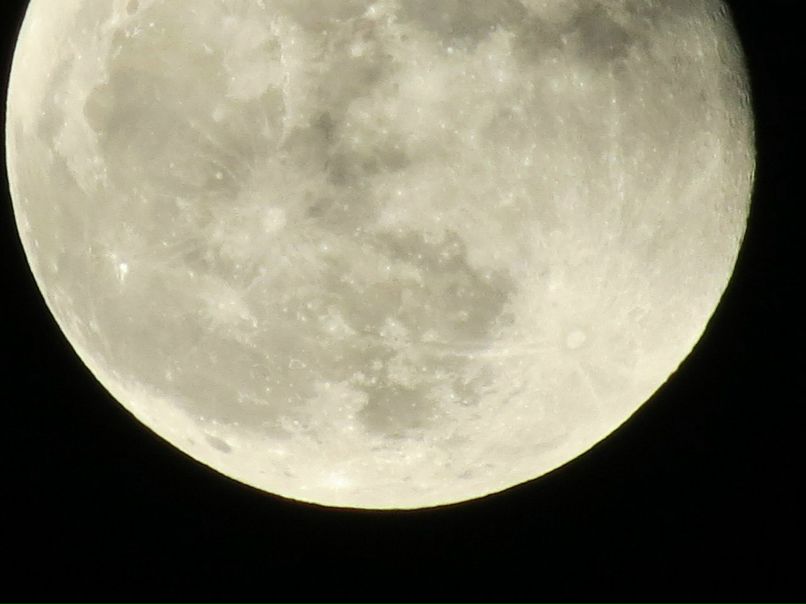 Victoria Anisenko | Тель-Авив