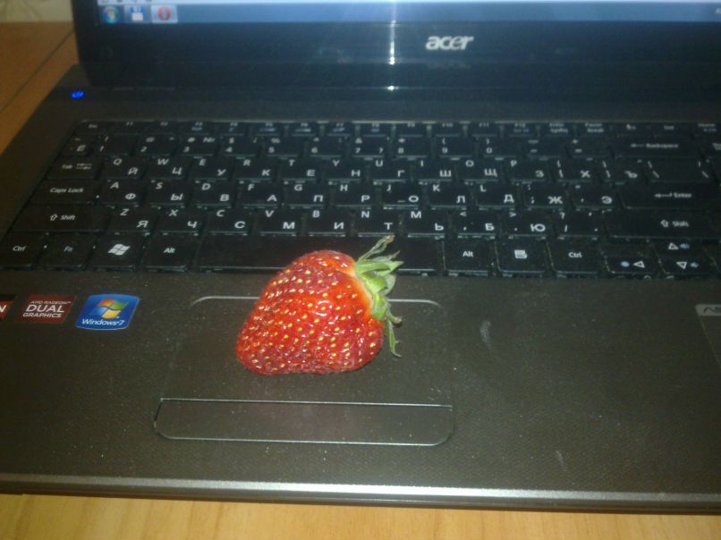 Kayn Сенченко | Санкт-Петербург