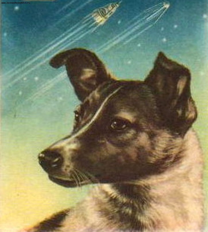 Таника Улыбка | Самара