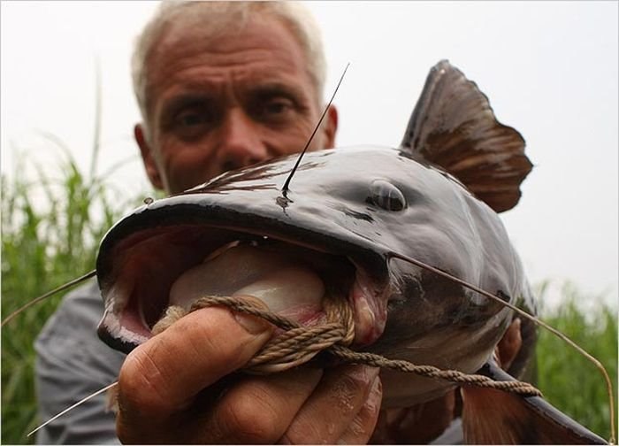 Шнапс Капитан | Санкт-Петербург