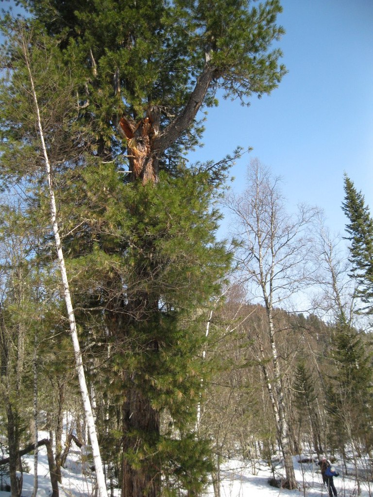Нарицына Фатима | Междуреченск