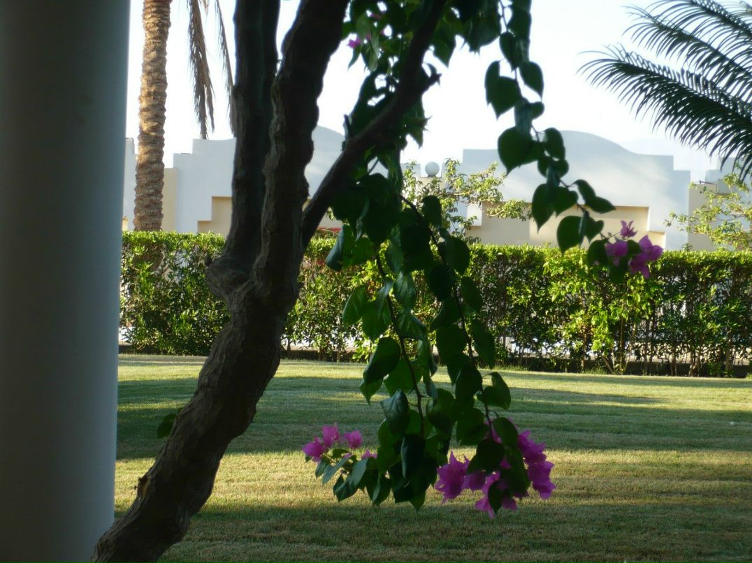 Екатерина Пескова | Москва