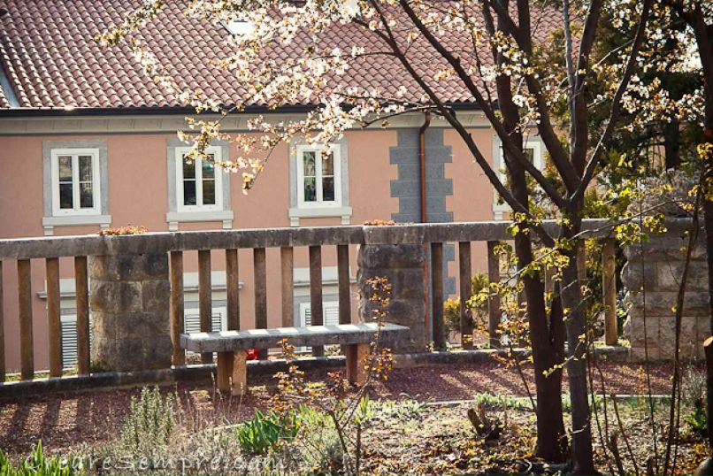 Анастасия Шевчик | Viareggio