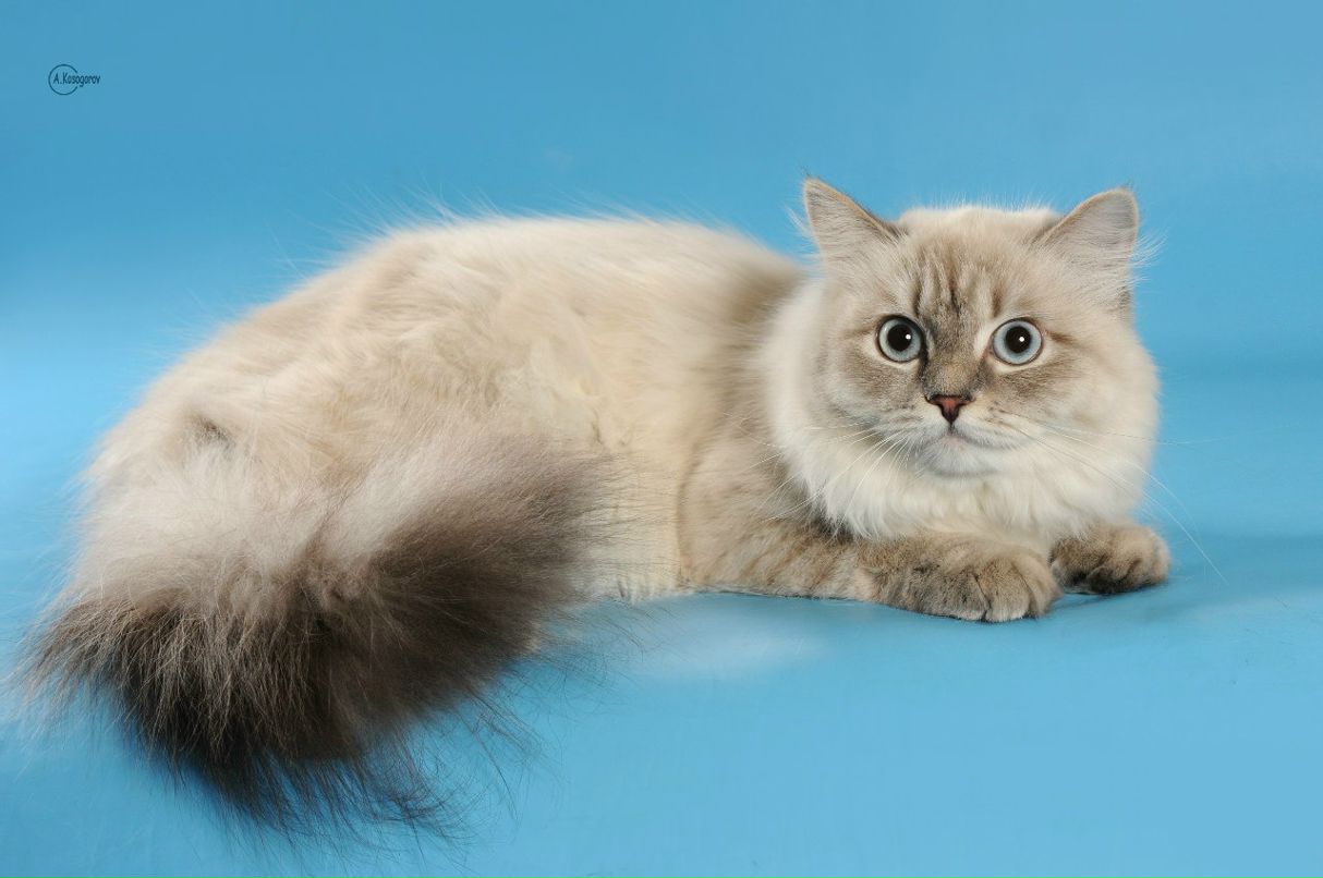 Виталий Зозуля | Мелитополь