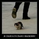 Фотография Инна Прищик
