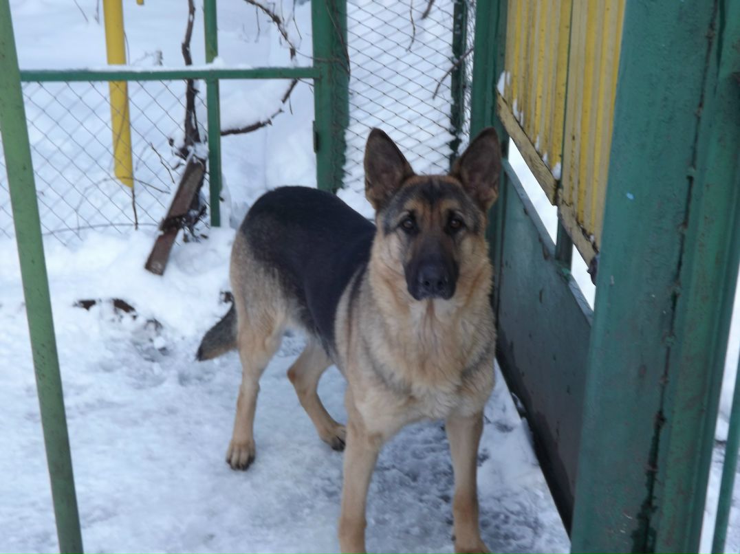 Сергей Ташкинов | Первомайск