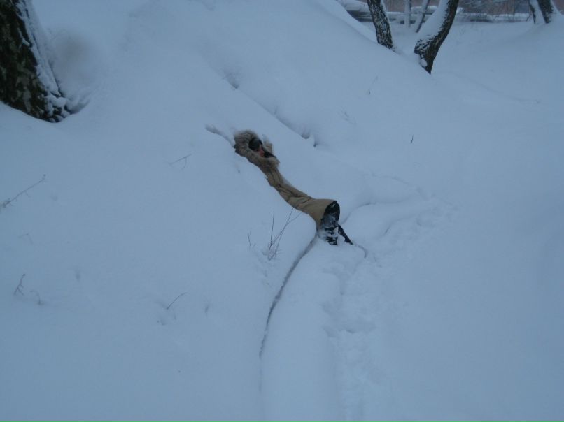 Наталия Захаренко | Чернигов