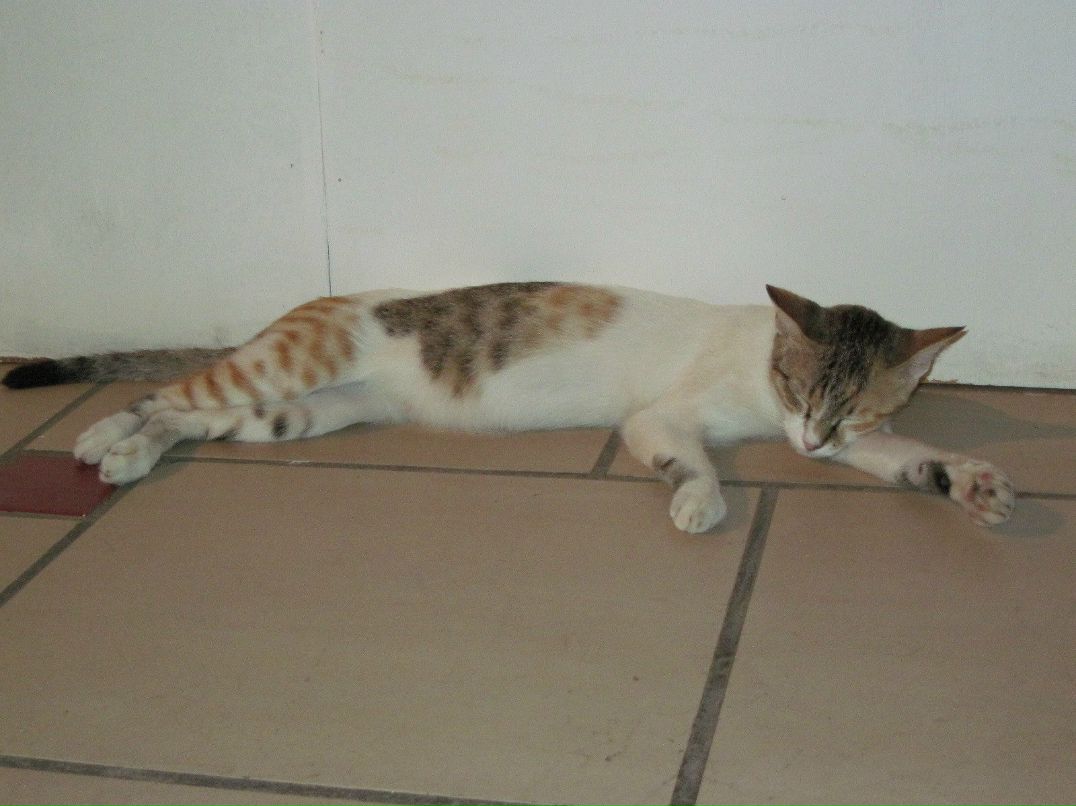 Виталий Вовчук | Киев