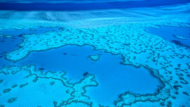 Светлана Власова (Богданова), Россия, Москва