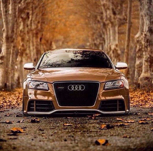 Алексей Храмов, Россия, Чита