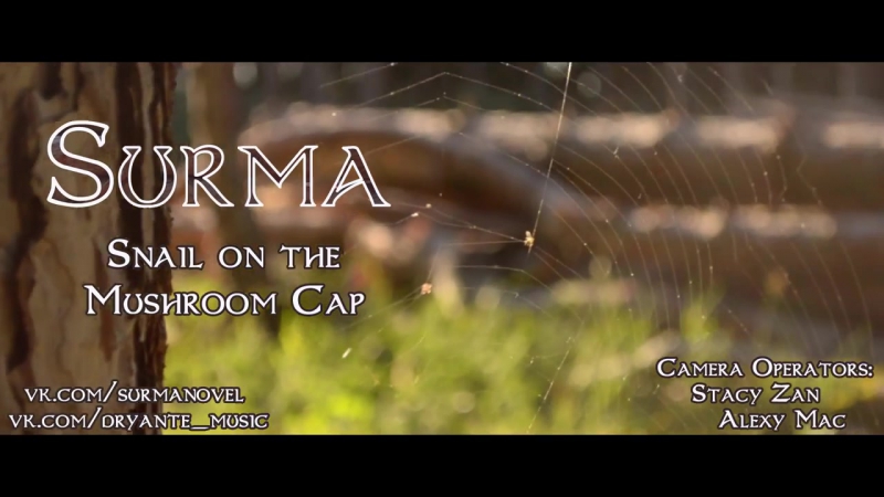 Dryante Snail on the Mushroom Cap ( Surma