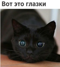 Тоня Соколовская