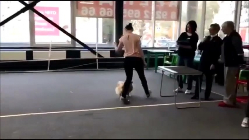 Шелия Шарни 9 месяцев