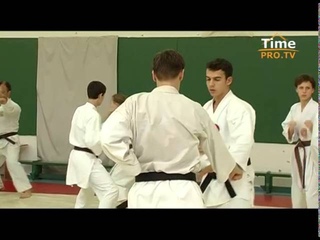Хитоси Касуя. Син-сёбу каратэ. Школы и мастера. В поисках совершенства.
