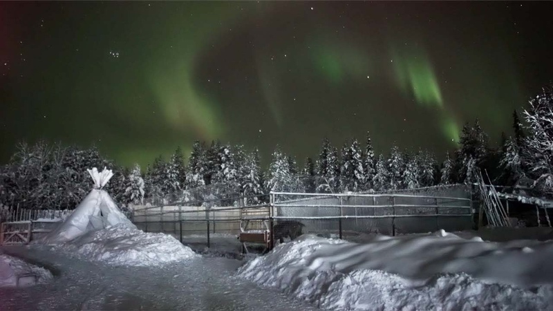 Vertical Aurora Caught On