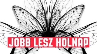 Vad Fruttik - Jobb lesz holnap