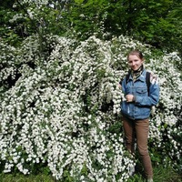 Елена Семенцова