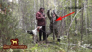 Выехали в лес с Эвой, сделали солонец, переставили ловушку, подняли зайца.