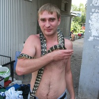 Диман Тетерин