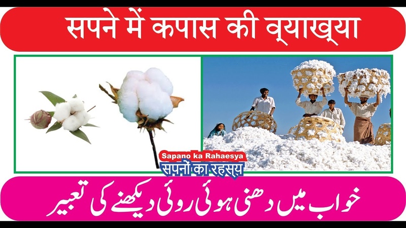 Interpretation of Cotton in dream, , सपन म कप स क व य ख य , , Sapne mein Ruee