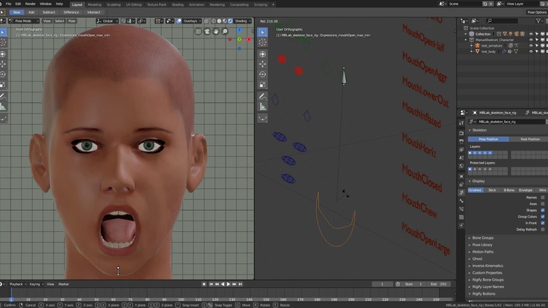 Manuelbastionilab facerig