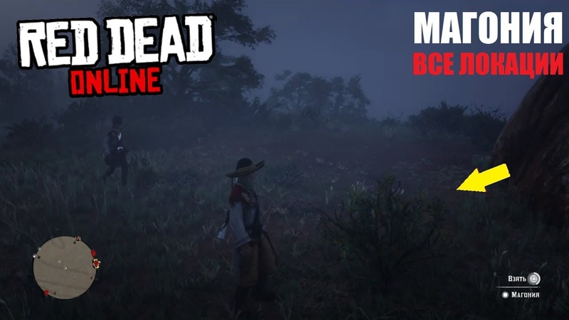 RED DEAD ONLINE Все локациии с