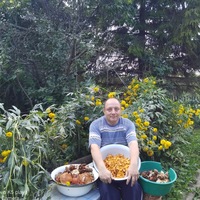 Евгений Звягинцев