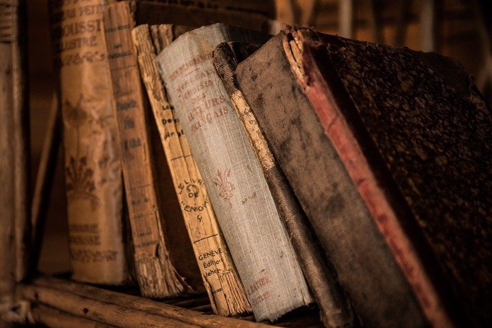 Акция «Библиодруг — помощник библиотекаря» состоится в библиотеке на Рождественской Акция «Библиодруг — помощник библиотекаря» состоится в библиотеке на Рождественской