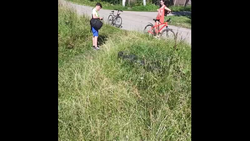 VID_67260625_061605_964.mp4